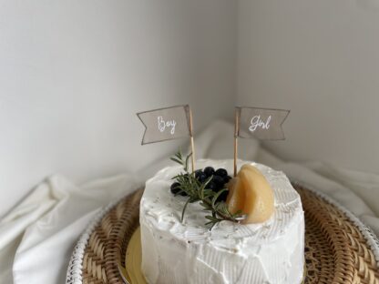 cake topper (gender reveal)&monthly card